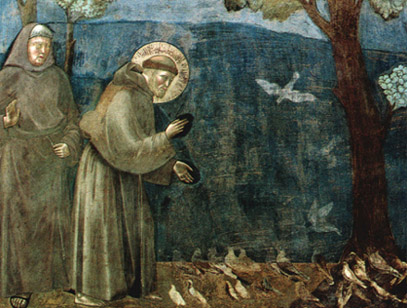 «St. Francis of Assisi Preaching to the Birds,» a painting by Giotto in the Upper Basilica at Assisi.